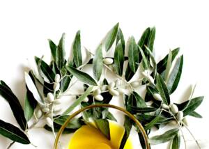 Ramas de olivo junto a un envase de cristal que contiene aceite de oliva