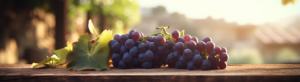 Un racimo de uvas reposa sobre una mesa de madera y se encuentra bajo el sol